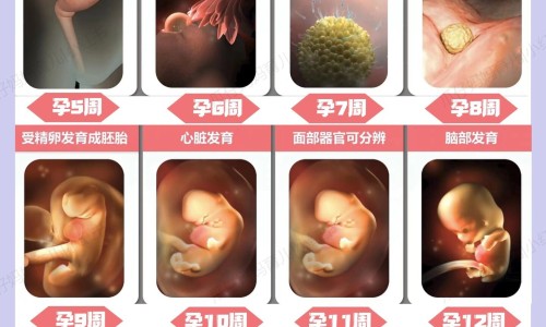 伤筋了用酒洗有用吗-伤筋后能用药酒按摩吗网 :分享伤筋可以用白酒擦吗-伤筋以后可用酒精消毒吗知识